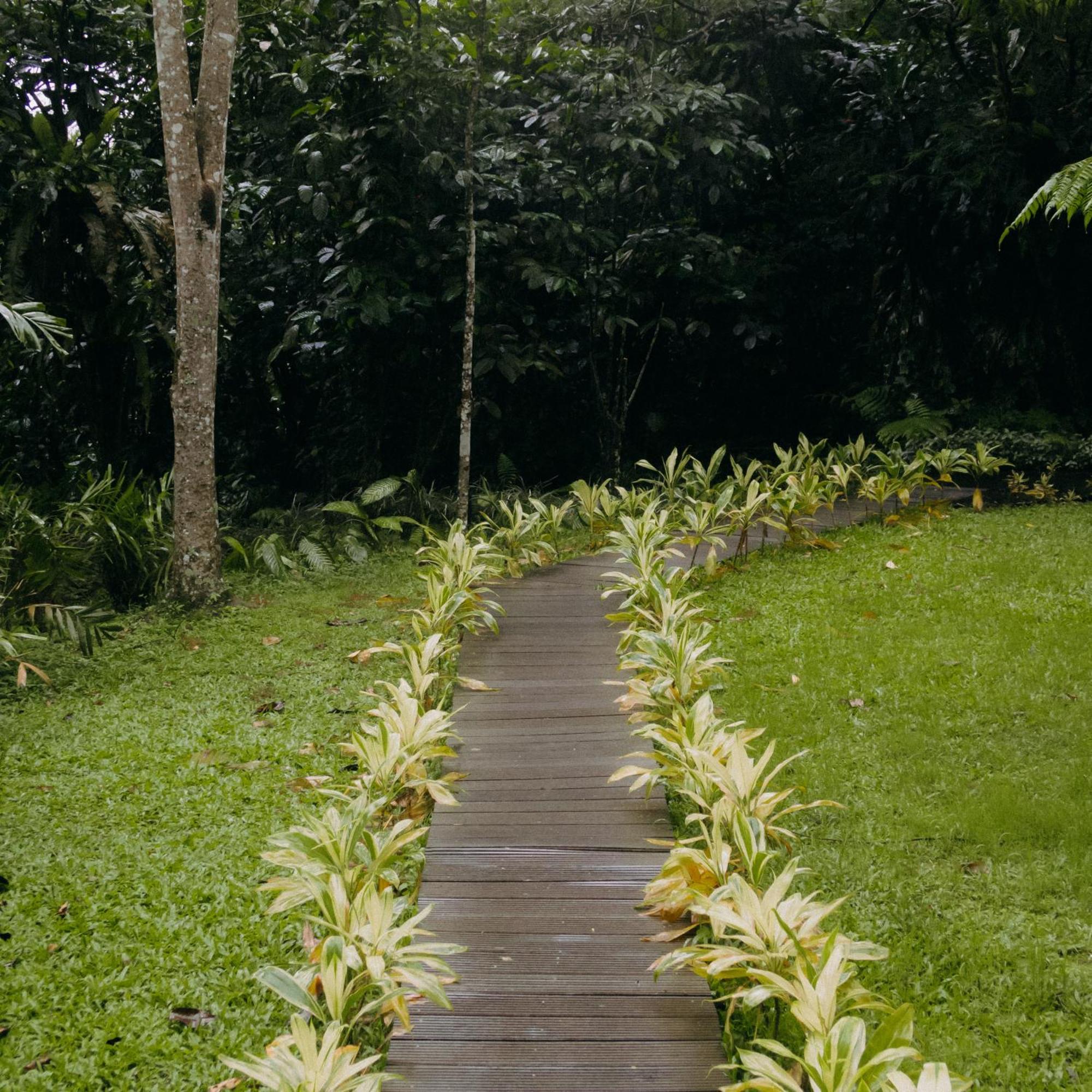 Habitat Hills Hotel Cisarua Buitenkant foto